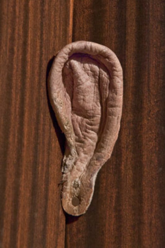 Menengok Deretan Patung di Inggris yang Terbuat dari Kulit Manusia (1)