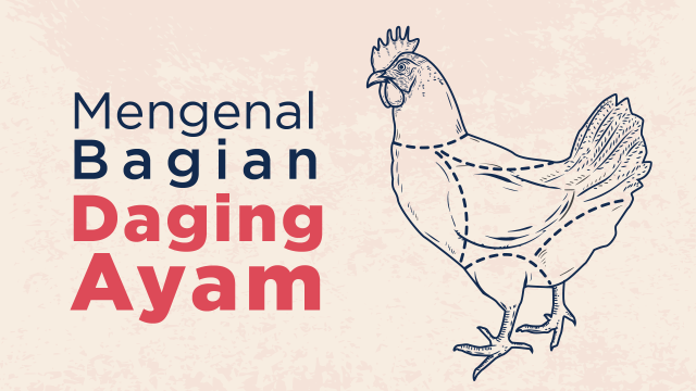 Mengenal Bagian Daging Ayam (Foto: Sabryna Putri Muviola)