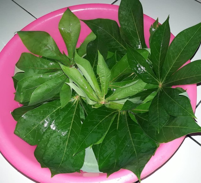Sayur daun singkong (Foto: Instagram/ annie_garden88)