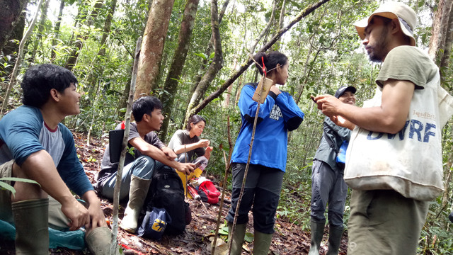 Mencari sinyal di hutan (Foto: Nur Khafifah/kumparan)