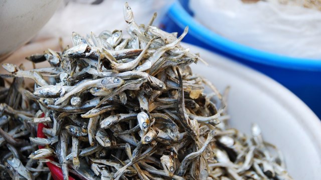 5 Makanan Ini Mampu Meningkatkan Kinerja Otak (5)