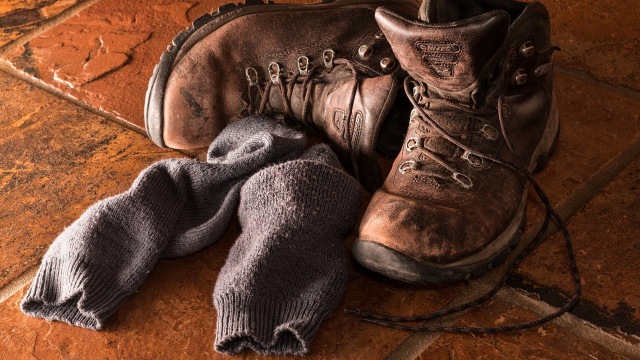 Ilustrasi kaus kaki (Foto: stevepb/Pixabay)