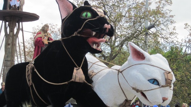 Kattenstoet, Festival Melempar dan Membunuh Kucing