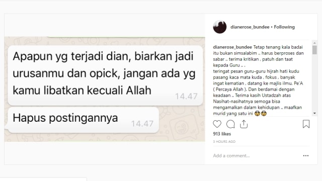 Dinasehati Guru Hijrah, Mantan Istri Opick Hapus Curhatan Soal Hak Asuh Anak (1)