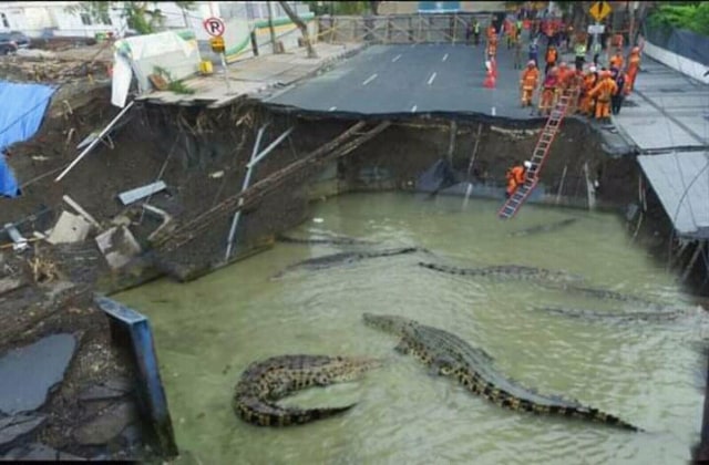 Ngakak! Godzilla sampai Hulk Muncul dari Amblesan Jalan Gubeng (4)