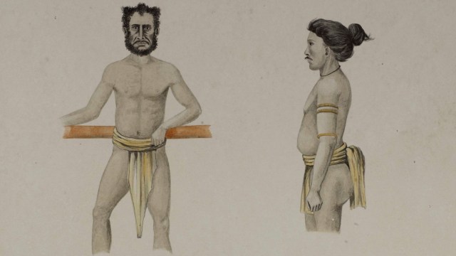 Gambar lelaki Papua tahun 1887 saat Belanda melakukan ekspedisi ke sana. (Foto: Dok. Perpusnas)