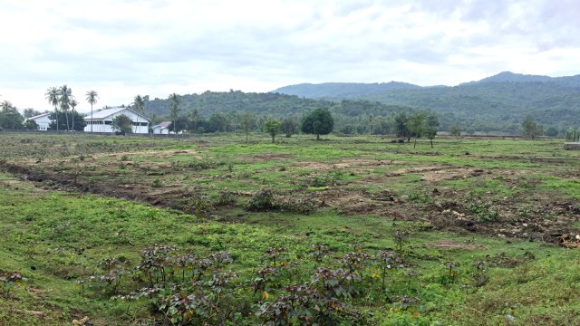 Kawasan Industri Aceh siap dibangun di lahan seluas 66 ha, dari total lahan seluas 250 ha. (Foto: Zuhri Noviandi/kumparan)