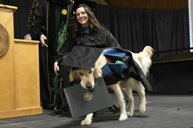 Wisuda Bareng Pemiliknya, Seekor Anjing Raih Gelar Sarjana Kehormatan (2)