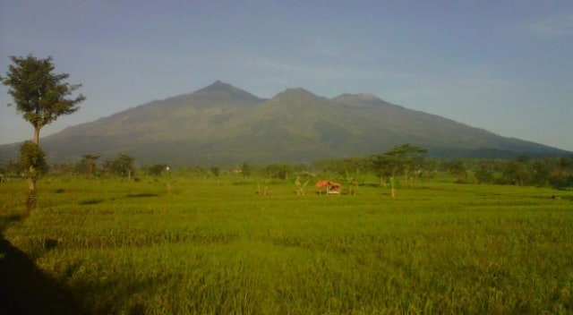 Siswa Asal Surabaya Hilang di Gunung Arjuno