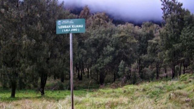Siswa asal Surabaya Hilang Ketika Berada di Lembah Kijang Gunung Arjuno