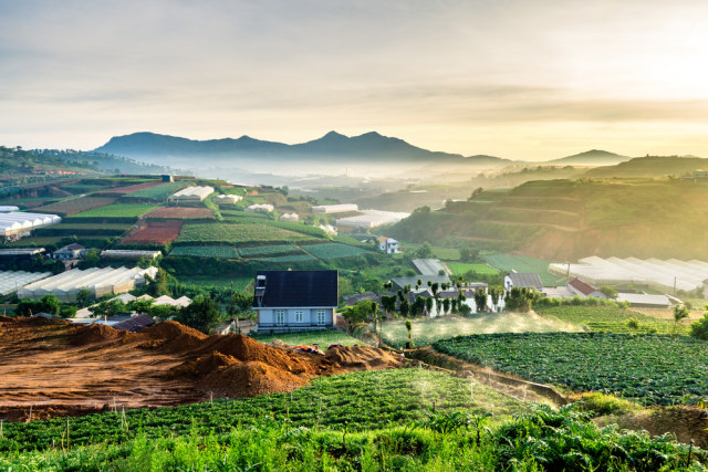 Da Lat, Vietnam. (Foto: Shutter Stock)