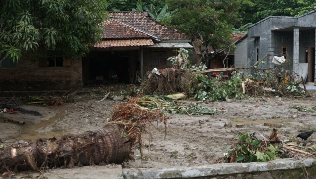 Kondisi Desa Tanjung Jaya yang merupakan akses jalan ke Desa Sumur, Banten. (Foto: Helmi Afandi Abdullah/kumparan)