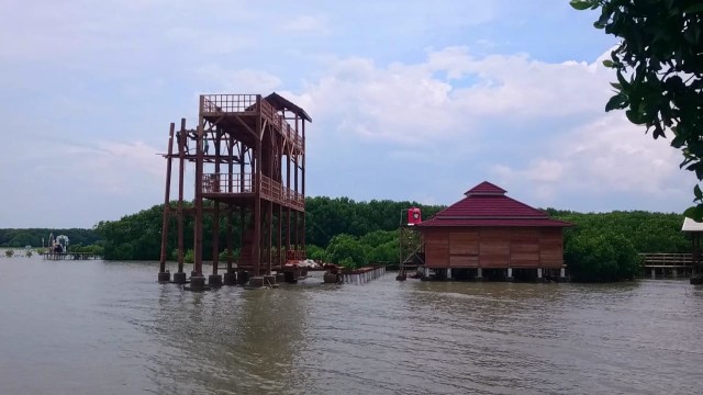 Libur Tahun Baru, Wisata Hutan Mangrove Brebes Tambah Gardu Pandang