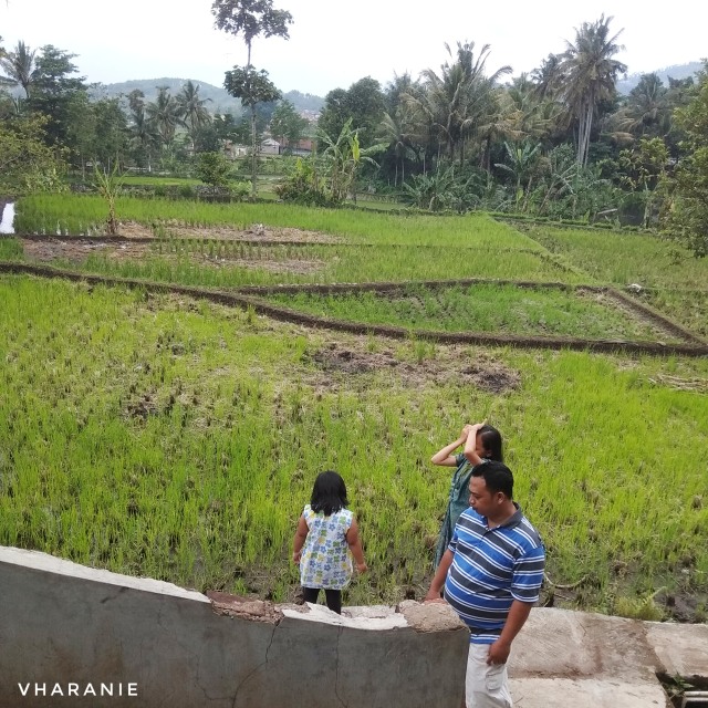 Liburan Akhir Pekan di XPander Tons of Real Happiness, Bandung