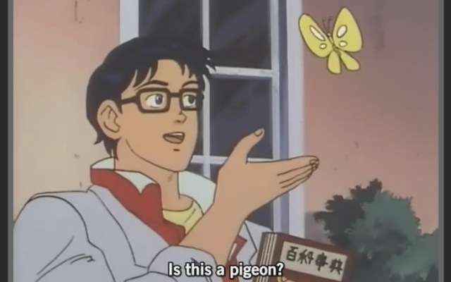 Meme 'Is this a Pigeon?'. (Foto: Know Your Meme)