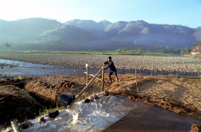 Seorang petani mengirigasi sawahnya yang kering di Desa Arjosari, Pacitan, Jawa Timur. (Foto: Shutterstock)