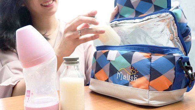 Salah Pilih Cooler Bag Dapat Merusak ASI, Simak Tips-nya Disini (2)