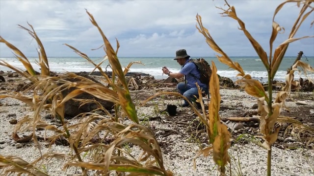 Peneliti Jepang Fumihiko Imamura di Tanjung Lesung, salah satu lokasi tsunami. (Foto: Virginia Gunawan/kumparan)