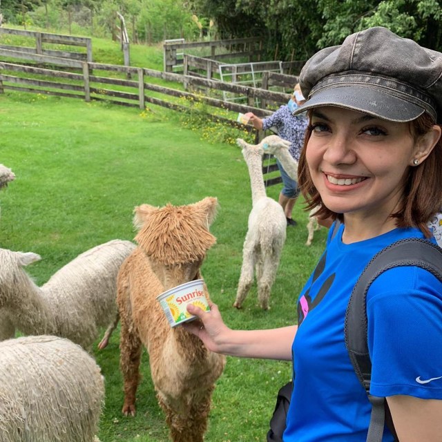 Najwa Shihab Memberi Makan Alpaca di Selandia Baru (Foto: Instagram (@najwashihab))