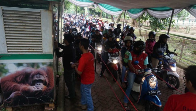 Sejumlah pengunjung memadati Kebun Binatang Ragunan, Jakarta, Selasa, (1/1/19). (Foto: Irfan Adi Saputra/kumparan)
