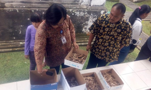 Temuan Sarkofagus di Gianyar Jadi Koleksi ke-33 Balai Purbakala (1)