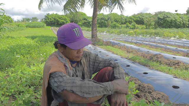Ali mustajab, petani Urutsewu. (Foto: Ardhana Pragota/kumparan)