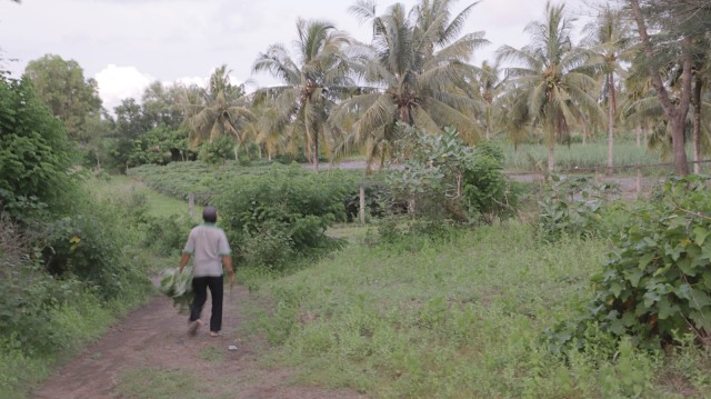 Warga di lahan pertanian yang menjadi sengketa antara masyarakat dan TNI AD di Urutsewu, Kebumen. (Foto: Ardhana Pragota/kumparan)