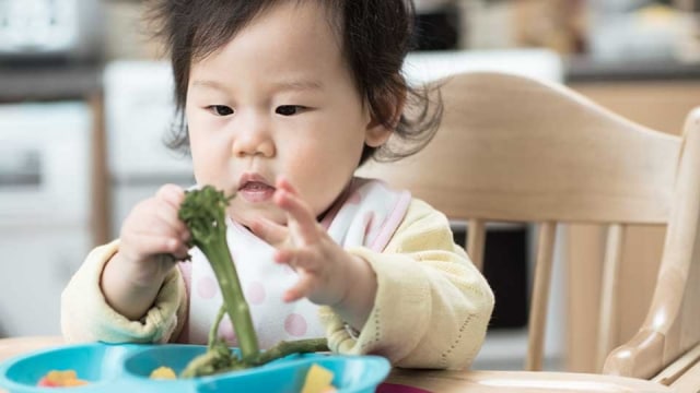 Sudah Benarkah Metode BLW yang Mom Terapkan?