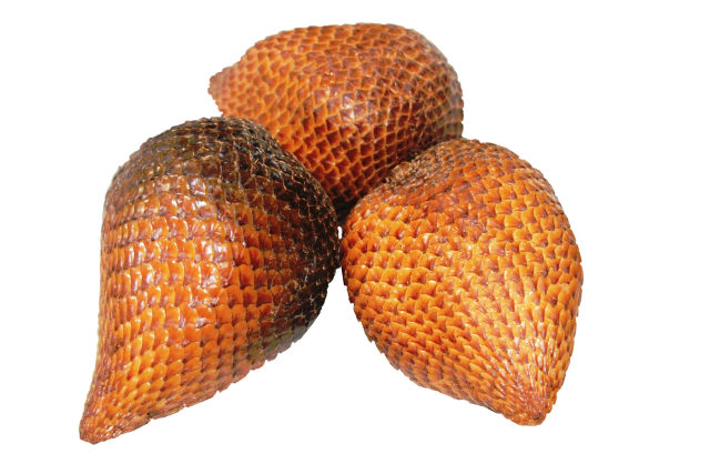 Buah salak (Foto: dok Mayapujiati/ pixabay)