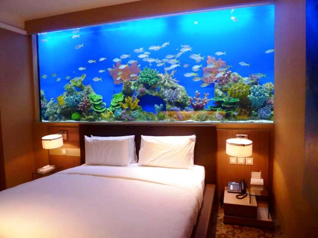 3 Jenis Gaya Aquascape yang Cocok Bagi Rumah Mewah Anda