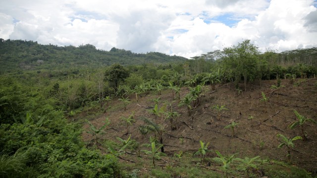 UPT Arongo, Konawe Selatan. (Foto: Dwi Herlambang/kumparan)