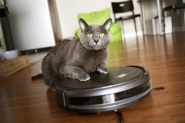 Tips Memilih Jenis Filter yang Tepat untuk Vacuum Cleaner yang Sesuai dengan Kebutuhan