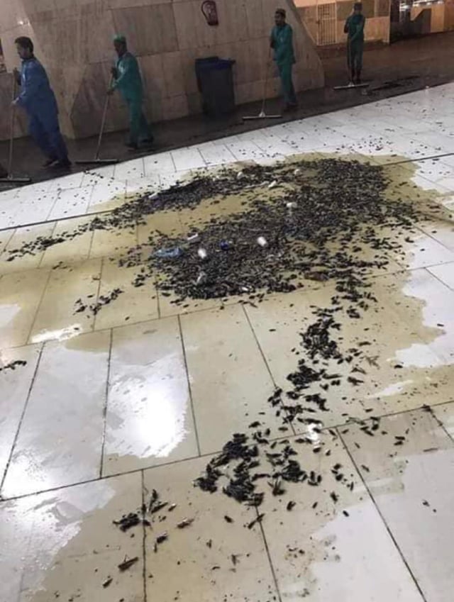 Jutaan jangkrik keluar dari lubang bawah tanah di sekitar Masjidil haram. (Foto: Twitter)