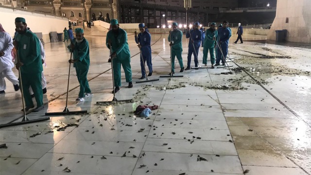 Jutaan jangkrik keluar dari lubang bawah tanah di sekitar Masjidil Haram. (Foto: Twitter)