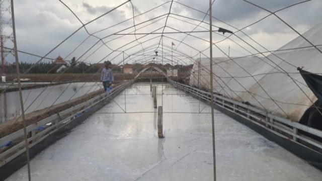 Manfaatkan “Katup Gadis”, Siasat Petambak Garam Probolinggo di Musim Hujan