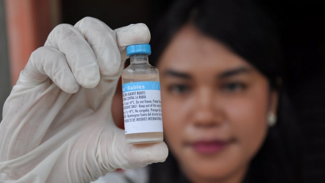 Vaksin Rabies  Foto: ANTARA FOTO/Septianda Perdana