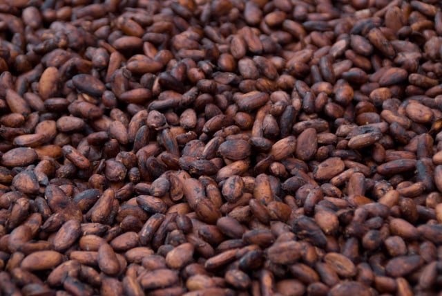 5 Fakta Menarik soal Cokelat yang Perlu Kamu Tahu (2)