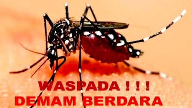Waspada! Inilah Penyebab Demam Berdarah