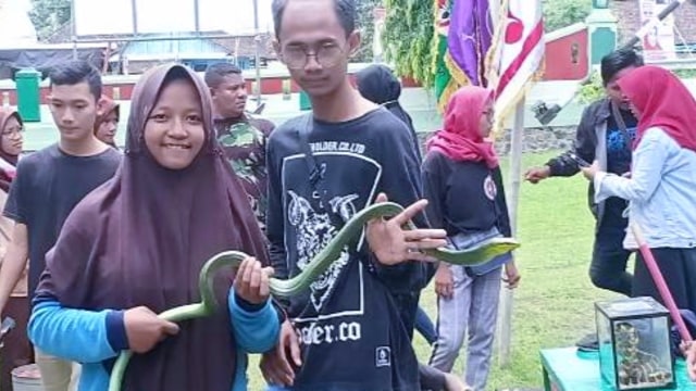 Komunitas Reptil Brebes Kenalkan Ular Berbisa kepada Anak Pramuka