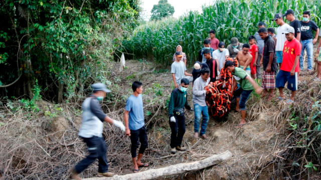 Petugas gabungan dan warga mengevakuasi seekor Orangutan sumatra (Pongo abelii) yang terjebak di perkebunan warga di desa Titi Pobin, Trumon Timur, Aceh Selatan, Aceh, Senin (14/1/2019). (Foto: ANTARA FOTO/Hasan)