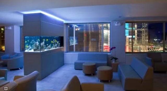 Jenis Kayu Aquascape yang Cocok untuk Interior dan Ventilasi Rumah Minimalis Anda