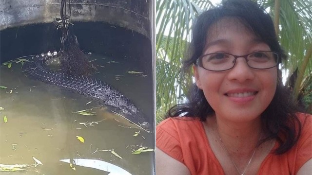 5 Fakta Buaya Terkam Petugas Laboratorium di Minahasa