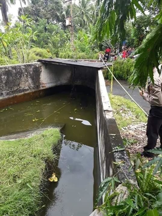 Buaya di kolam CV Yosiki (Foto: Kenly/Facebook)