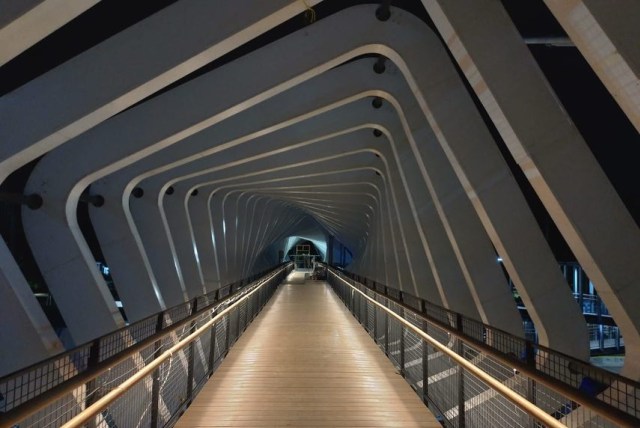 JPO Bundaran Senayan, Jakarta (Foto: Firman Herwanto)