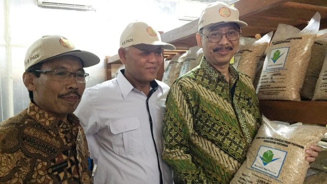 Kepala Balai Besar Tanaman Padi Sukamandi Priyatna Sasmita (kiri) , Direktur Indonesia Rice Institute Hasil Sembirin (tengah), dan Sekretaris Jenderal Kementan Syukur Irwanto (kanan). (Foto: Elsa Toruan/kumparan)