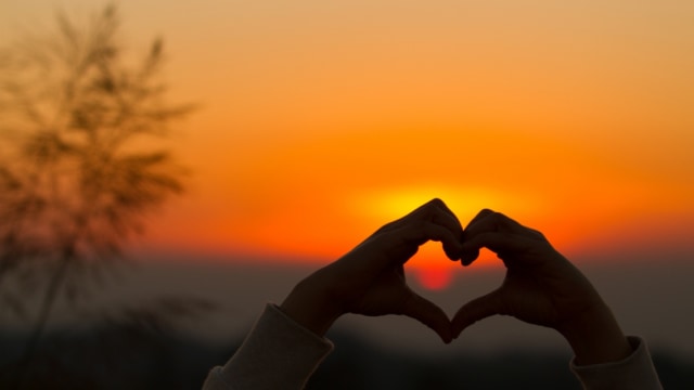 Ilustrasi hati. Foto: Shutterstock