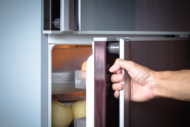 Ilustrasi menyimpan makanan sisa. (Foto: Shutterstock)