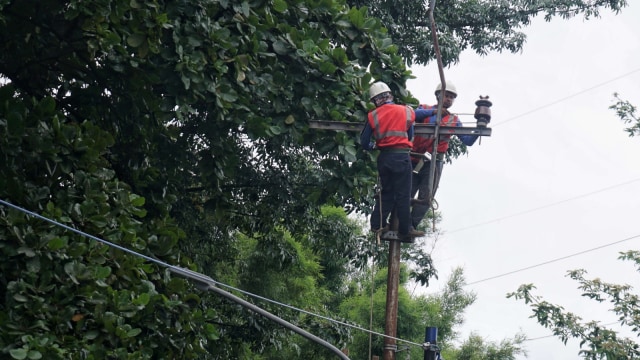 Para pekerja sedang membongkar jaringan listrik udara untuk ditanam ke bawah tanah. (Foto: Helmi Afandi Abdullah/kumparan)