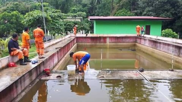 Petugas di lokasi baru penangkaran Meri, buaya yang menerkam Deasy Tuwo di Tanawangko, Sulawesi Utara. (Foto: Dok. Istimewa)