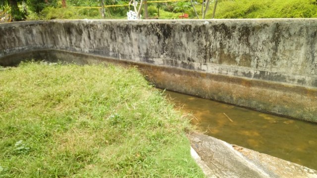 Suasana di penangkaran, lokasi tewasnya Deasy Tuwo di Tanawangko, Sulawesi Utara. (Foto: Andreas Gerry Tuwo/kumparan)